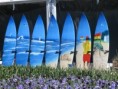 /album/photogallery/surfboards1-jpg/